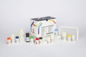 AMH / pishtaz teb / پیشتاز طب / کیت تشخیص طبی 