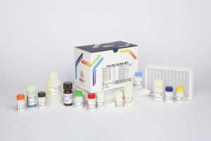 Ferritin / pishtaz teb / پیشتاز طب / کیت تشخیص طبی 