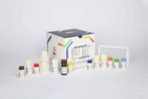 hCG / pishtaz teb / پیشتاز طب / کیت تشخیص طبی 