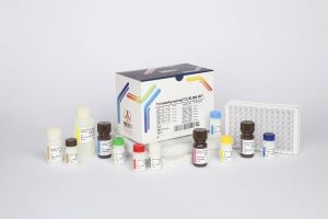 T3 / pishtaz teb / پیشتاز طب / کیت تشخیص طبی 